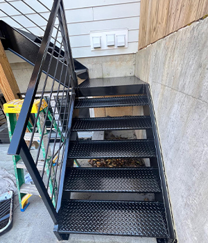 Professional Service